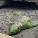 예래느랑 이미지