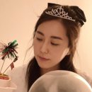 스테이 이브 이미지