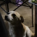 매네미 민박 이미지