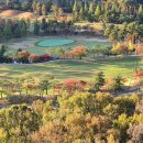 수원-1975 이미지