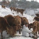 명성축산 이미지