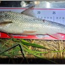 송산유원지 이미지