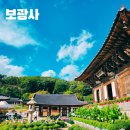 11월2일 (일) 팔천원의 행복 마장호수출렁다리 트레킹 이미지
