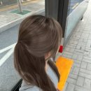 모카in헤어