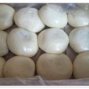만나손찐빵 Daum카페