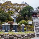 순천-48호 이미지