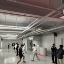 언더독 복싱 이미지