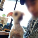 진숯불닭갈비 이미지