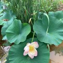 개인 (신정훈) 이미지