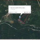 대보당 Daum카페
