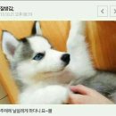 잘생김 카카오 검색결과