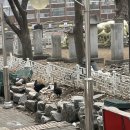 구성농협 삼거리 이미지