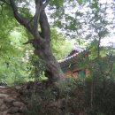 리빙키친 이미지