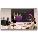 상업용 49 이미지