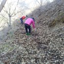 기대농장 이미지