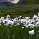 다복다복 이미지