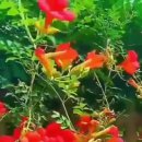 *. 숫자 4(四)의 뜻 ㅡ//애정이 꽃피던 시절 이미지