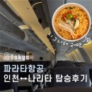 담안말1천 | 파라타항공 일본 도쿄 특가 후기 | 터미널 수하물 기내식