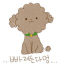 까까요 dog 이미지