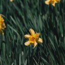 선수학학원 이미지