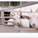 율리2농장 이미지