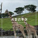 우성카오토전문샵 | 후쿠오카 아프리칸사파리 렌트카 아이와여행 입장료 버스투어 가격 비교
