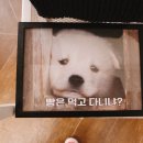 연봉리제빵소 이미지