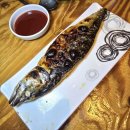 오징어 세상 이미지