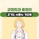 빅타운 | 경기도 시흥시 거모동 교정치과 총정리
