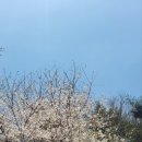 숲과 개울 펜션 | [강원] 평창펜션 애견동반숙소 독채 물놀이 낚시 등산 , 애견동반 숲과개울오토캠핑&amp;펜션