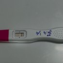 서한의원 | 대구마리아의원 졸업 임신 피검사 더블링 보건소 임산부 등록 임신확인서