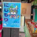 뽑기드림 | 니지모리 스튜디오 반려견 동반 솔직 후기(장점 vs 단점 심층분석해서 알려드림)사진많음