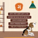 안양펫동물병원 이미지