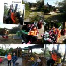 금헌힐링캠핑장 이미지