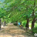 낭중애사과닭강정 - 영주시 구성로 360 | 낭중애사과닭강정