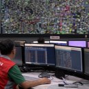 지시태양광발전소 이미지