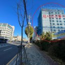 대지부동산