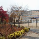 덕장중학교 이미지