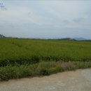 장전천1 이미지