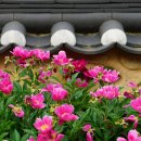 김동리「무녀도」 | 청소년이 읽기 좋은 역사소설 인기작, 스테디셀러, 퓨전