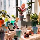 리빙인싸 이미지