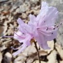 원수산 누리길 이미지