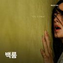 영화 백룸(2026) 기괴함은 합격, 스토리는 물음표? 영화정보 및 후기