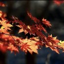 가리약수터 이미지