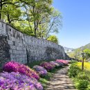 369 사랑방