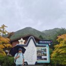 외씨버선길(치유의길) | 외씨버선길 8코스 - 치유의 길 (2025.10.12, 일)