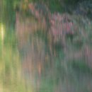 지금 이마메기골10 (Now, Imamegi Valley10) 이미지