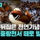 시그니처안경 - 고양시 덕양구 화신로272번길 48 | 시그니처안경