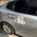 강아지마을펫택시 | 서울동물복지지원센터 강아지 입양 후기 첫 귀갓길, 카카오T 펫택시 덕분에 안심 이동했어요