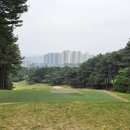 유성CC 코스 상태 어떤가? 새벽 라운딩 다녀와보니 생각보다 좋았던 후기